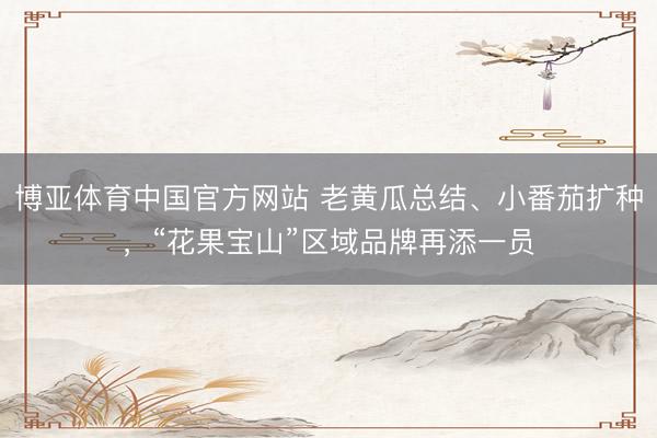 博亚体育中国官方网站 老黄瓜总结、小番茄扩种，“花果宝山”区域品牌再添一员