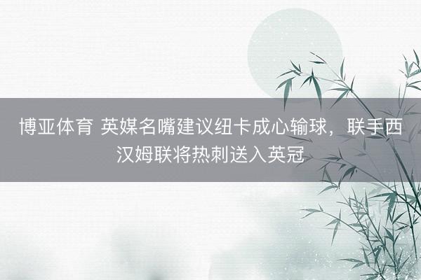 博亚体育 英媒名嘴建议纽卡成心输球，联手西汉姆联将热刺送入英冠